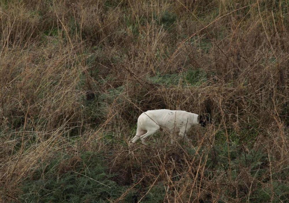 Radius Catastrophe, Jad Youssef (2025). Video still.